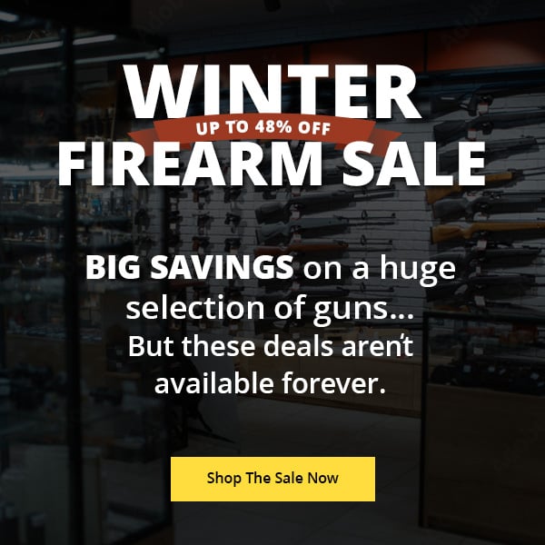 Winter Firearms Sale