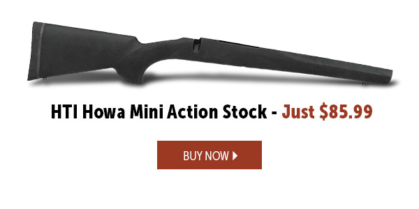 i HTI Howa Mini Action Stock - Just $85.99 BUYNOW 